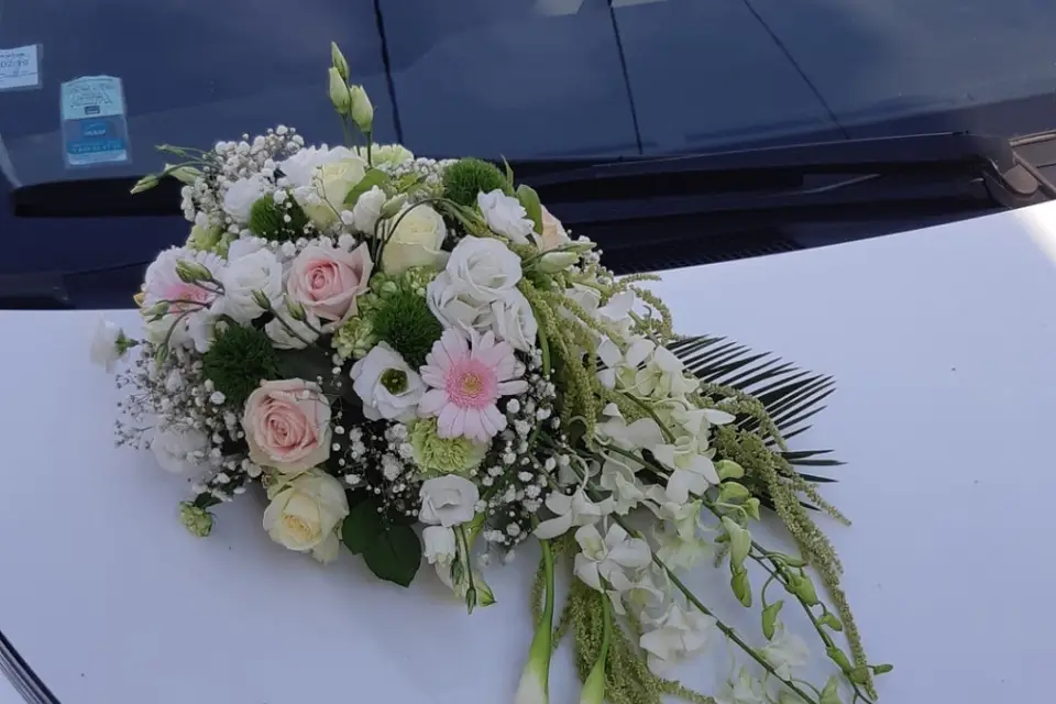 Pensée au naturel — photo 4