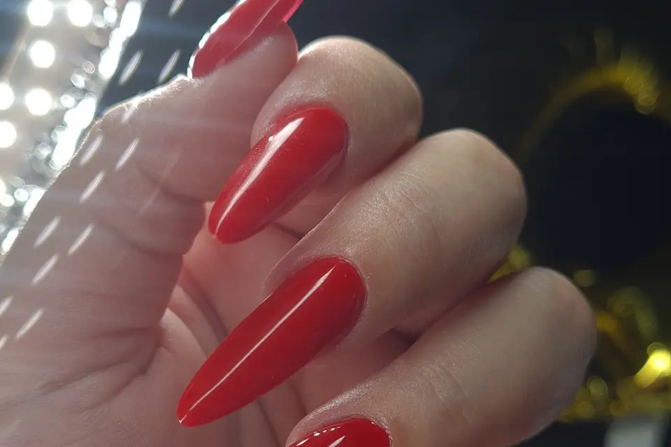 Nicolini Delphine — photo 3