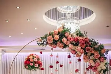 Perfect Merveilles — photo 2