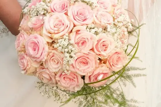 Perfect Merveilles — photo 1