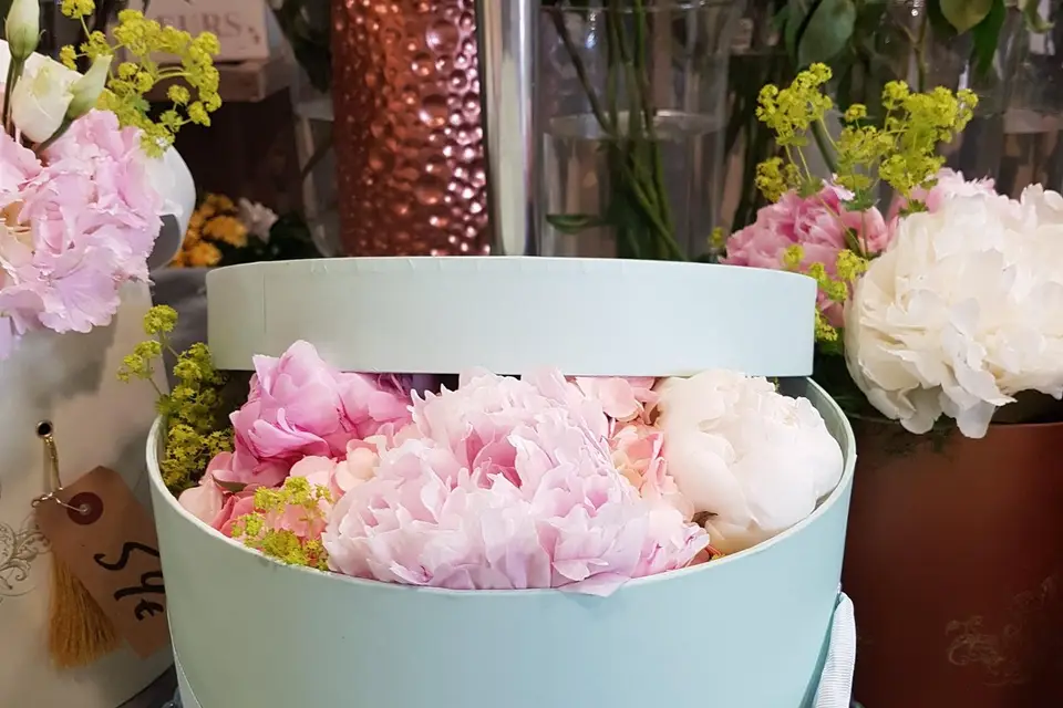 Les jardins d'Assia — photo 2