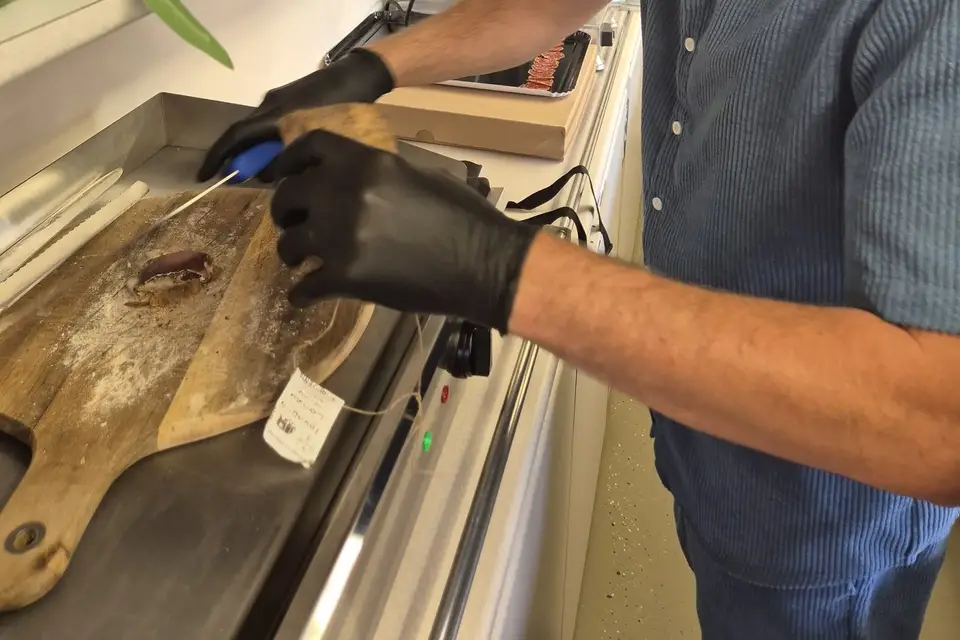 Pace e salute — photo 3