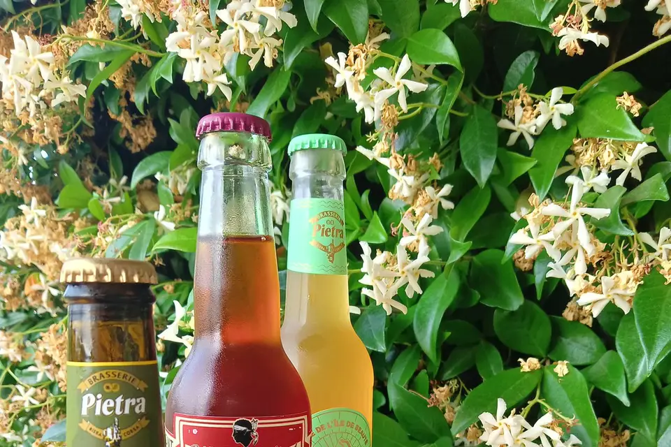 Pace e salute — photo 2