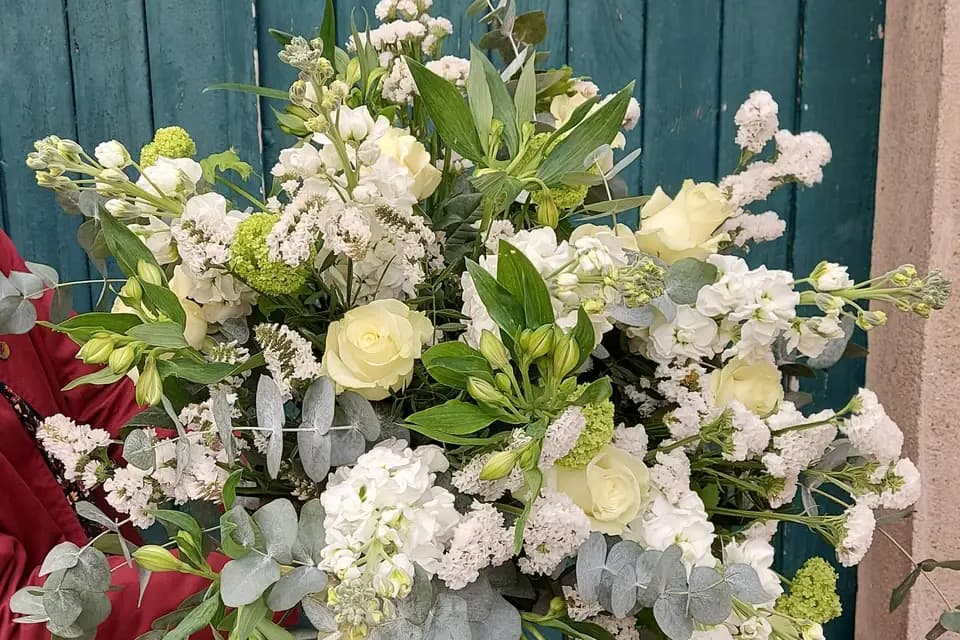 Ancolie et Camélia — photo 2