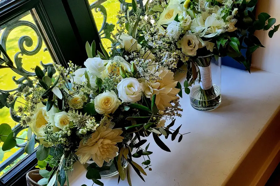 Ancolie et Camélia — photo 8