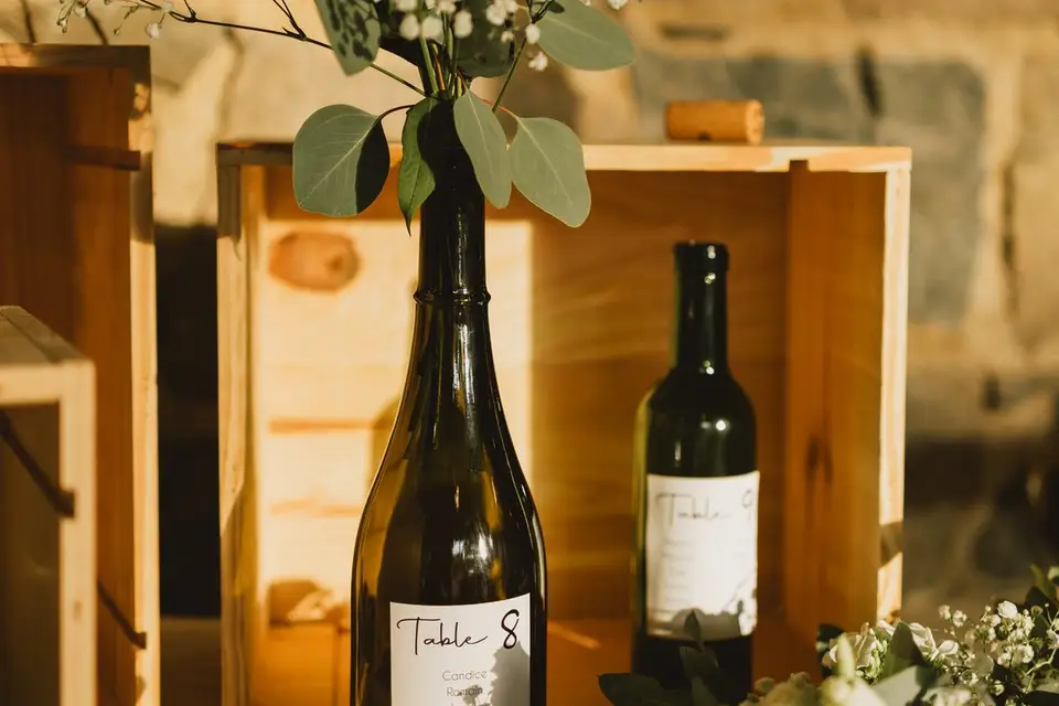 Ancolie et Camélia — photo 4