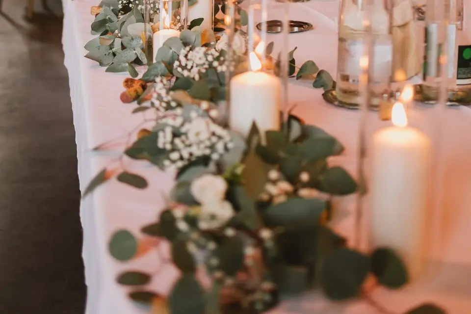 Ancolie et Camélia — photo 5