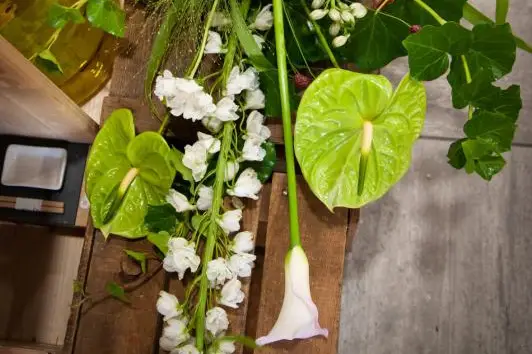 Au Caprice du Temps — photo 3