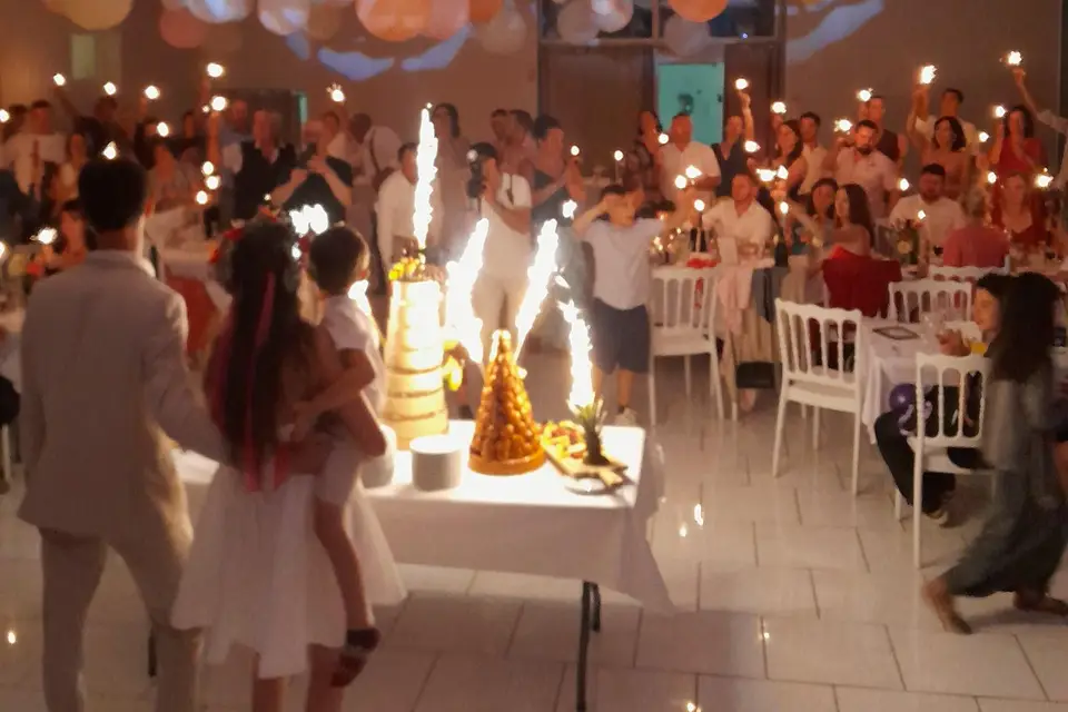 Oliv' Anim' — photo 2