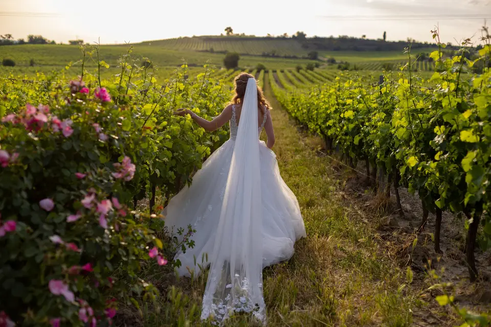 Château Guilhem — photo 1