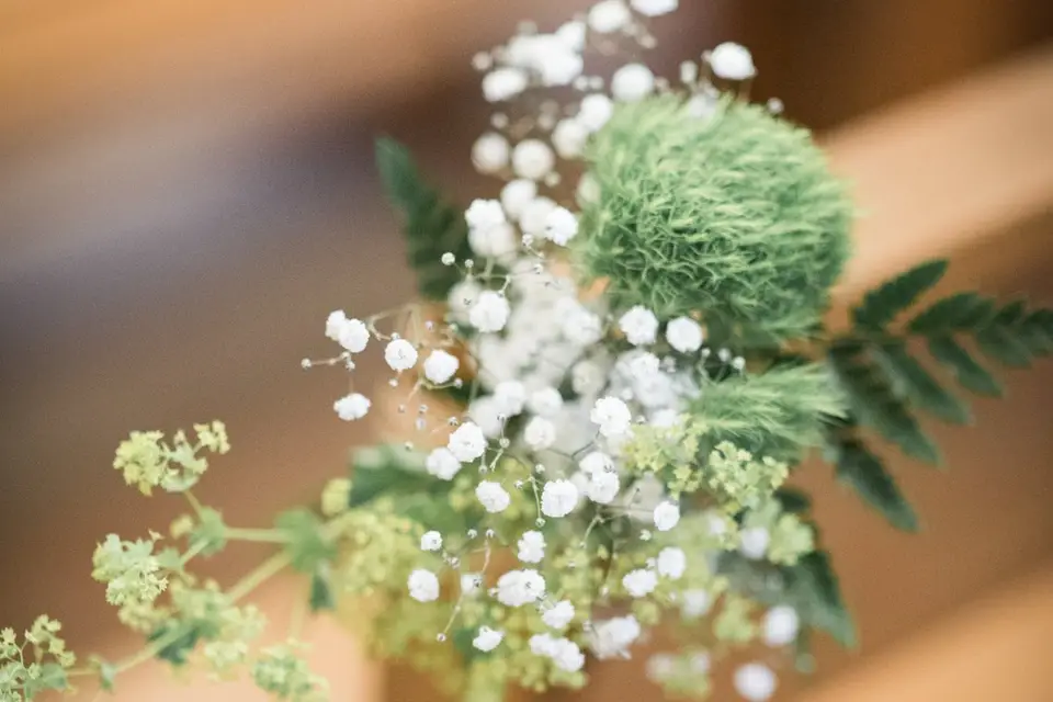 Nora N. Organisation — photo 2