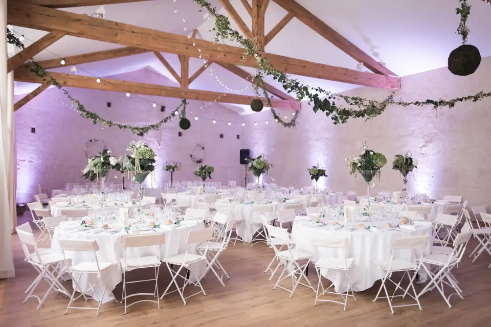 Nora N. Organisation — photo 1