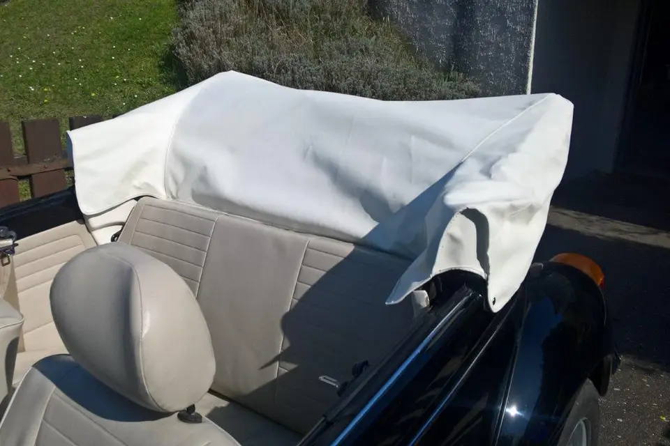 Coxybell — photo 5