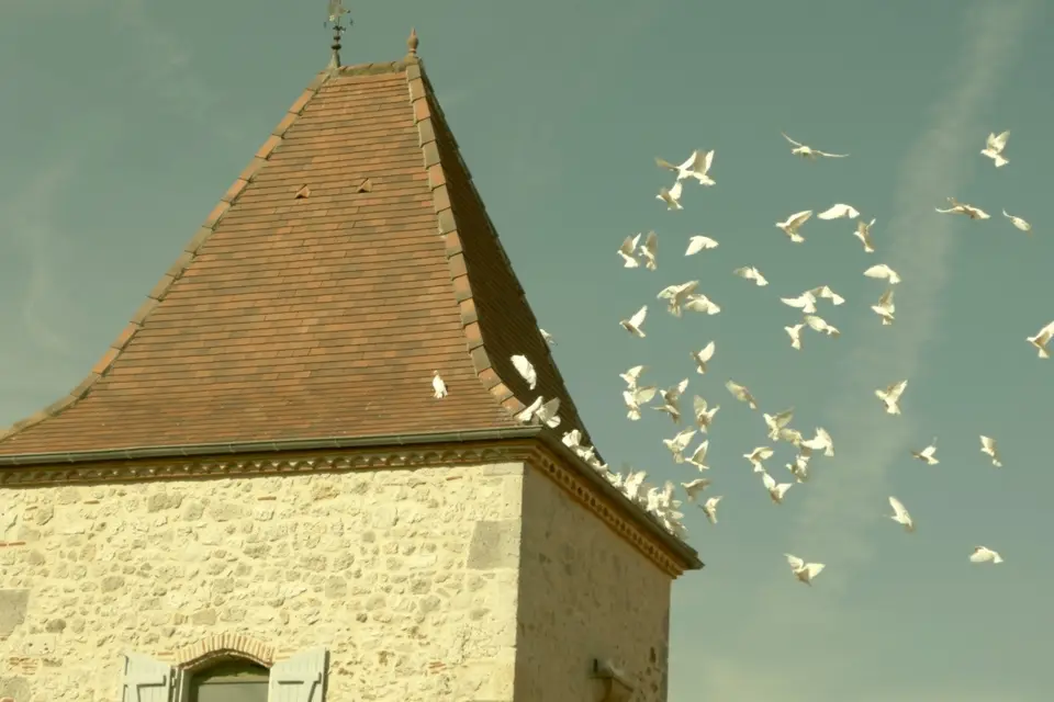 Domaine de Pécarrère — photo 3