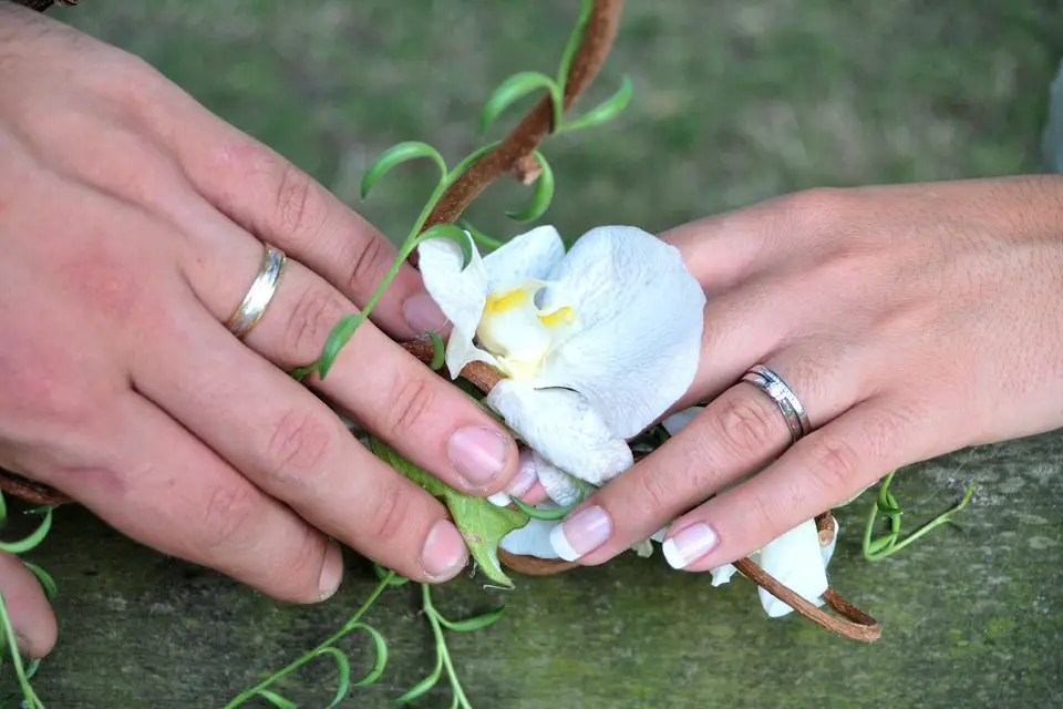 Photo Breje — photo 5