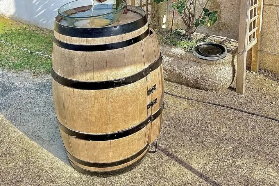 AllForEvent — photo 7