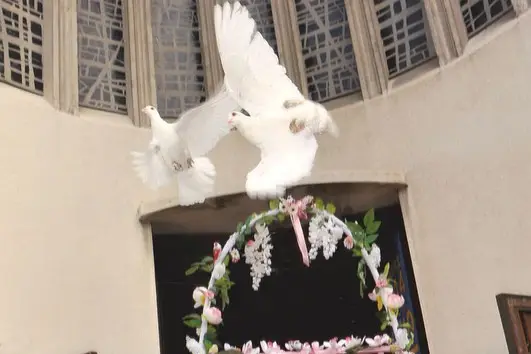 Les Colombes de la Paix — photo 8