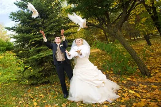 Les Colombes de la Paix — photo 1