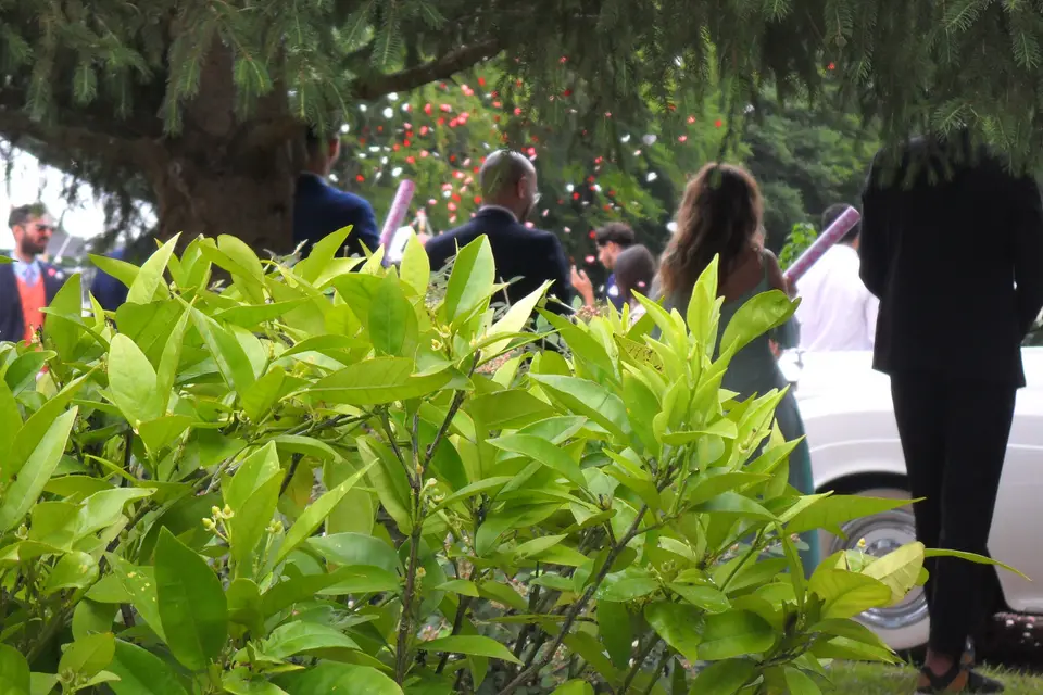 Château du Buisson de May — photo 3