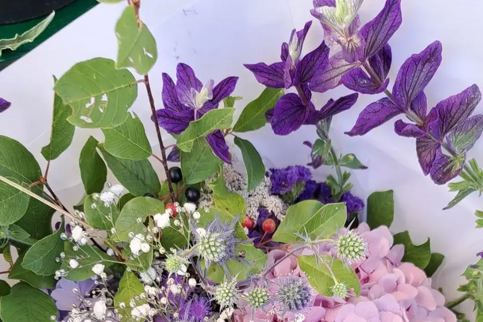 D'Âme Nature — photo 1