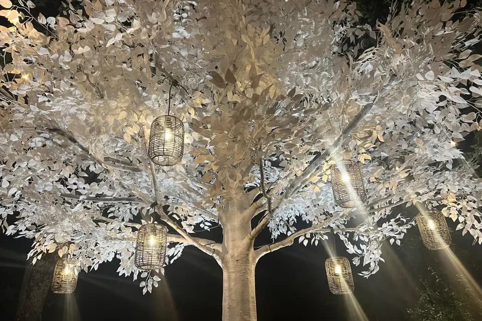 Arbre n Light — photo 5