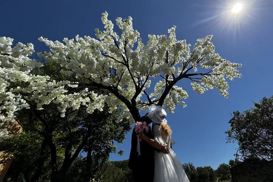 Arbre n Light — photo 1