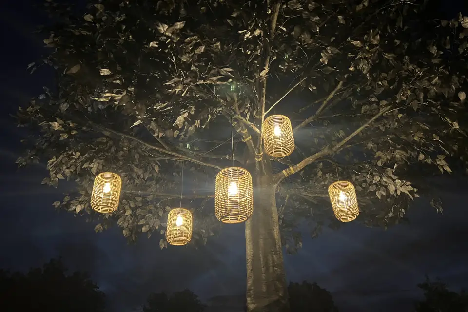 Arbre n Light — photo 6