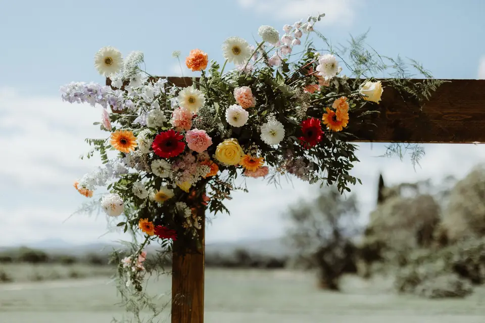 Printemps 96 — photo 5