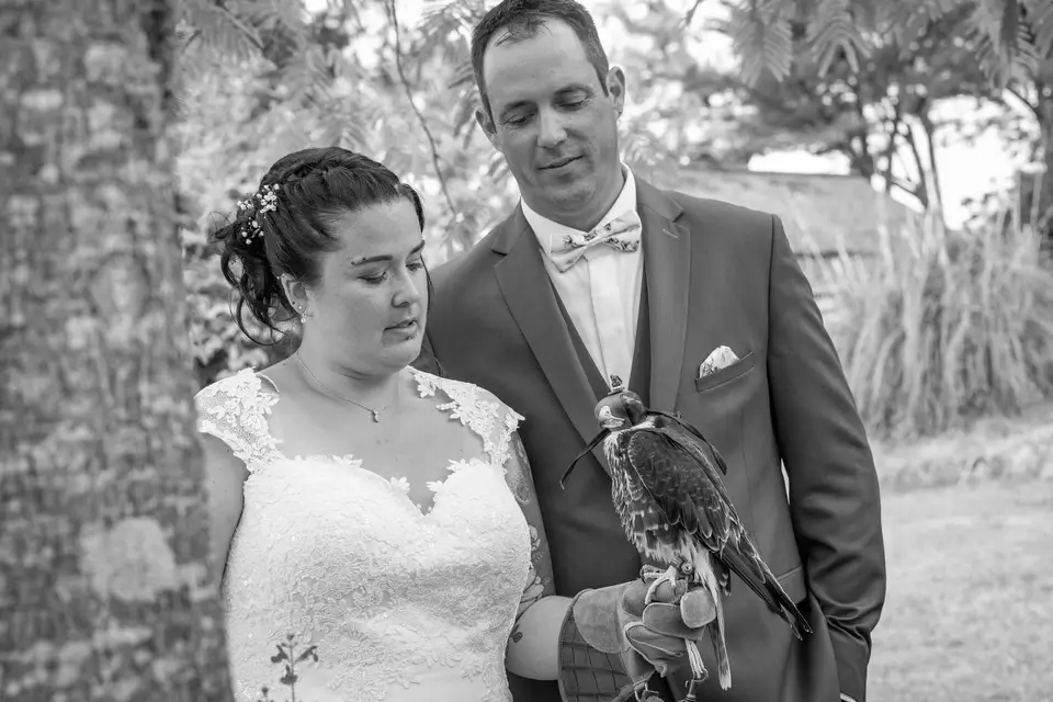 Image Nouvelle — photo 3