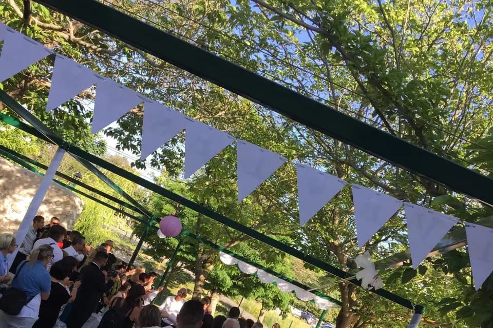 Nicus Thedisrupt — photo 5