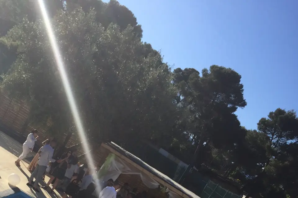 Nicus Thedisrupt — photo 2