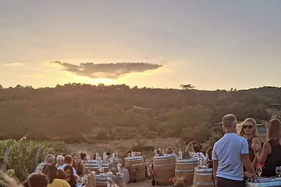 Flavie.Pro — photo 6