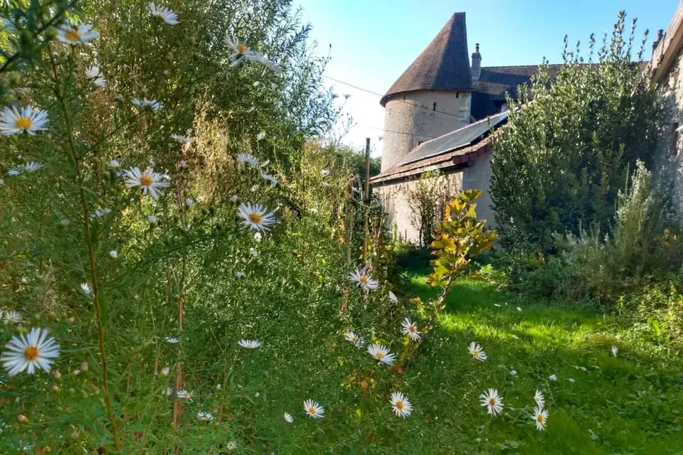 Château d'Ornez — photo 3