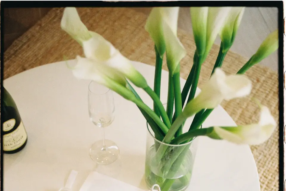 Anne C Wedding — photo 4