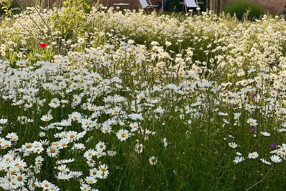 Le Manoir Equivocal — photo 3