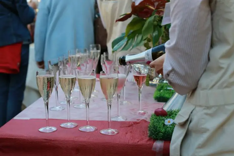 Ackerman — photo 5