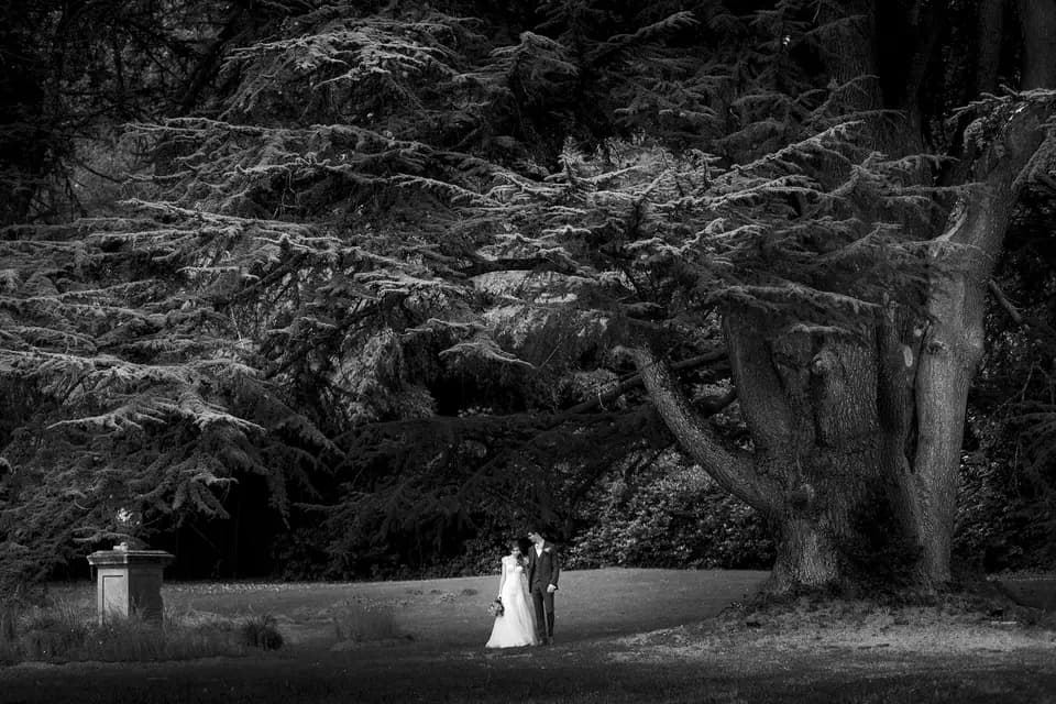 HW Photo — photo 4