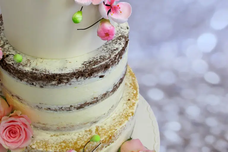 Aligâteaux — photo 6