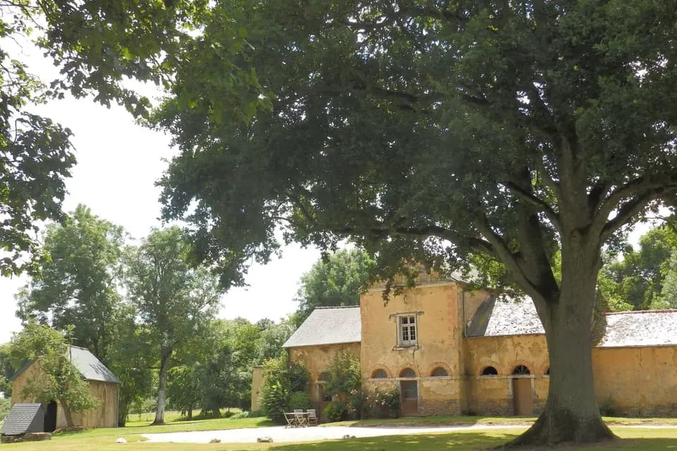 Château du Pin — photo 8