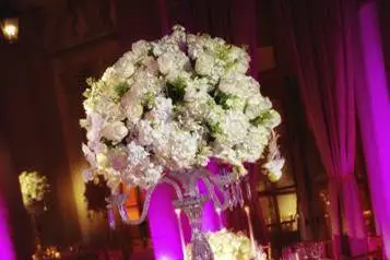 Elixir Evènements — photo 2