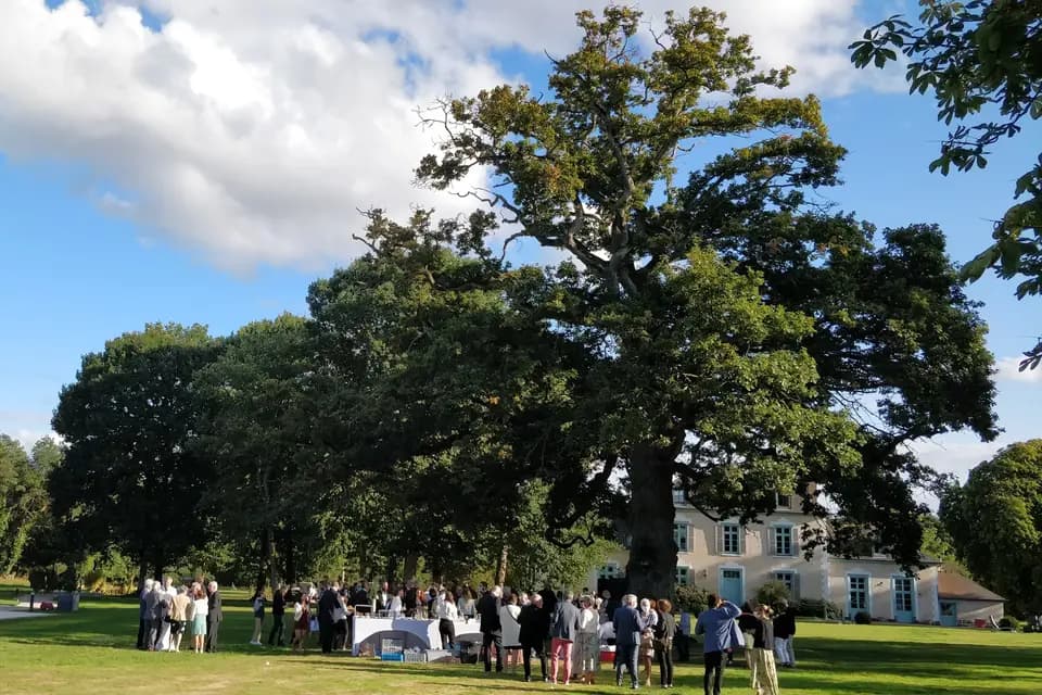 Château du Pin — photo 5