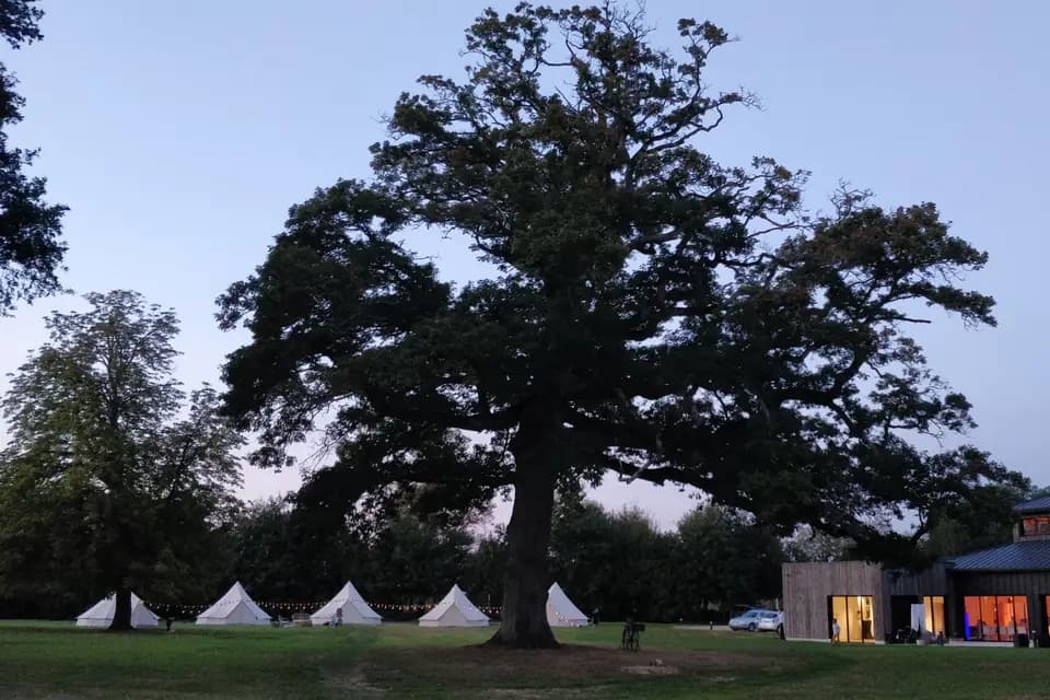 Château du Pin — photo 3