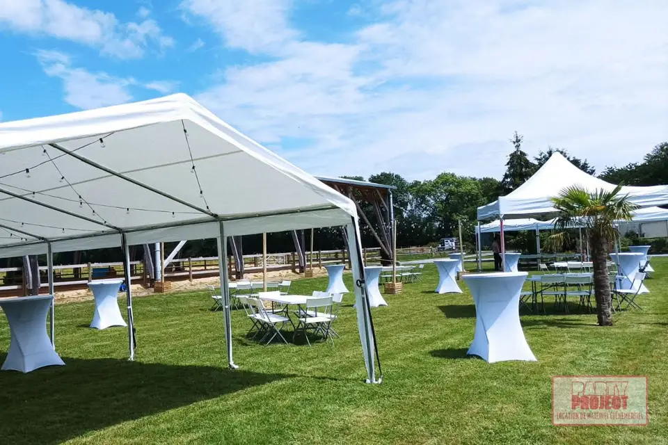 Party Project — photo 5