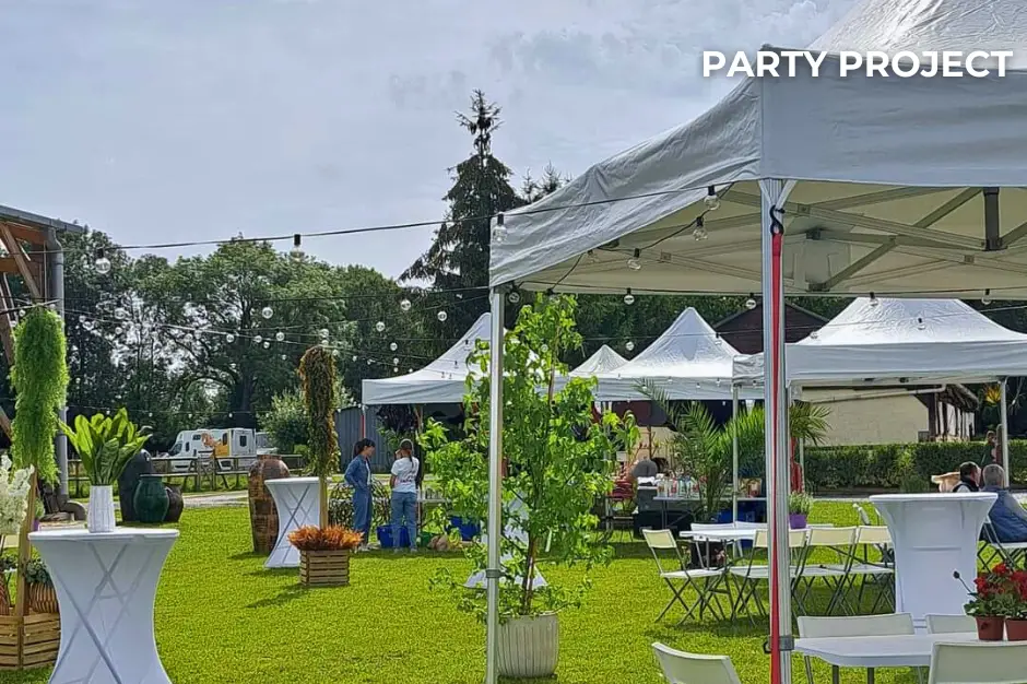 Party Project — photo 3