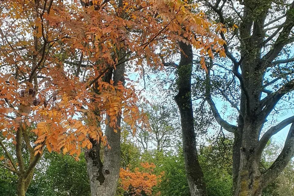 Le Clos Magnitot — photo 6