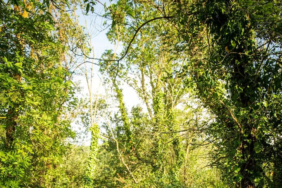 Domaine Lagrange — photo 5