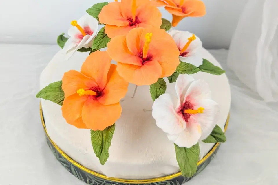 Maison Bastide — photo 6