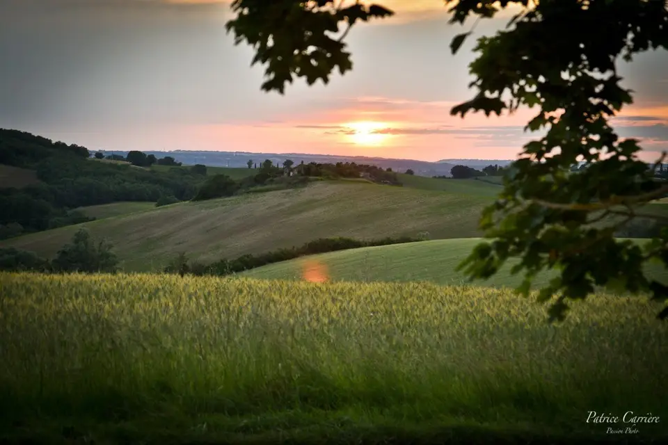 Domaine Lagrange — photo 7