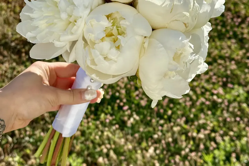 Maison Cloa — photo 6