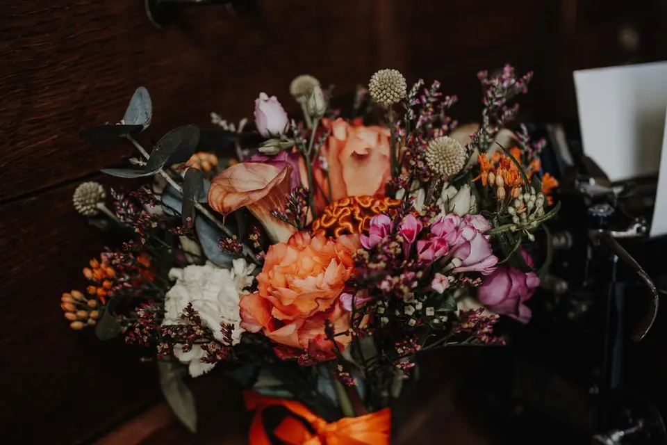 Marion Battut Photographe — photo 7